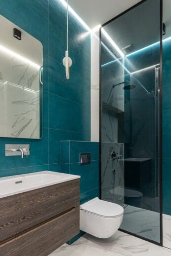 tinted glass shower